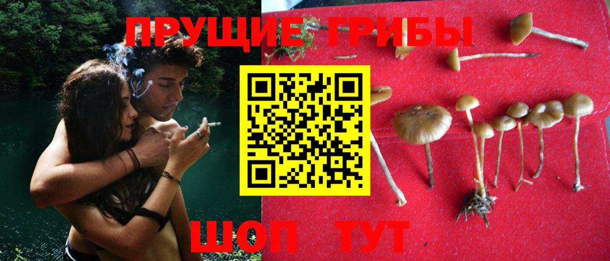 Галлюциногенные грибы Psilocybine cubensis  Псилоцибиновые грибы Cubensis  Екатеринбург  закладка  Вход с VPN 